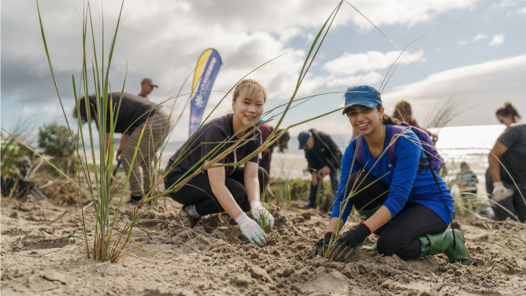 Volunteers planting native grasses on sand dunes in Ōpōtiki